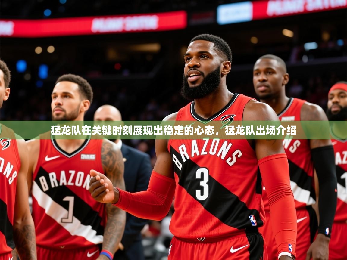 2025百家乐路单猛龙队在关键时刻展现出稳定的心态,猛龙队出场介绍 第1张