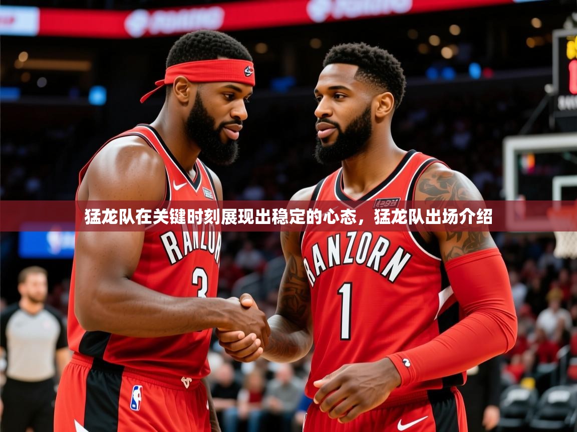 2025百家乐路单猛龙队在关键时刻展现出稳定的心态,猛龙队出场介绍 第3张